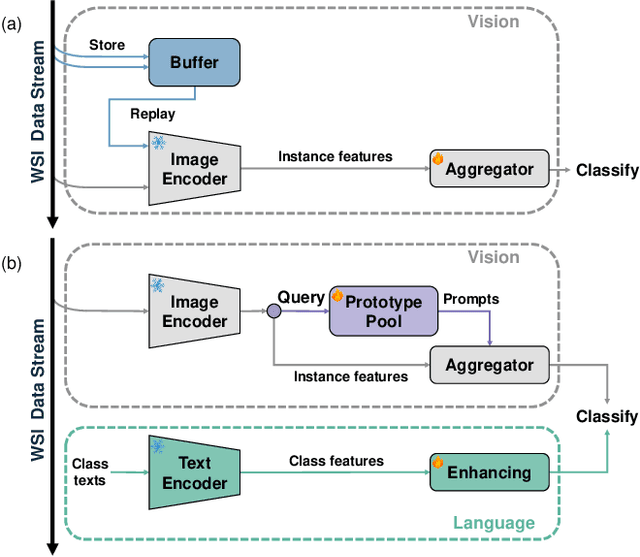 Figure 1 for Queryable Prototype Multiple Instance Learning with Vision-Language Models for Incremental Whole Slide Image Classification