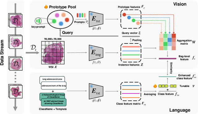 Figure 3 for Queryable Prototype Multiple Instance Learning with Vision-Language Models for Incremental Whole Slide Image Classification