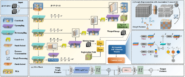 Figure 1 for H-SGANet: Hybrid Sparse Graph Attention Network for Deformable Medical Image Registration