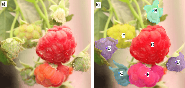 Figure 1 for Raspberry PhenoSet: A Phenology-based Dataset for Automated Growth Detection and Yield Estimation