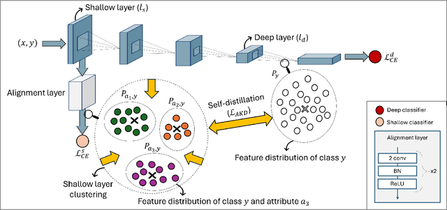 Figure 3 for Debiasify: Self-Distillation for Unsupervised Bias Mitigation