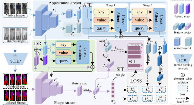 Figure 3 for Shape-centered Representation Learning for Visible-Infrared Person Re-identification