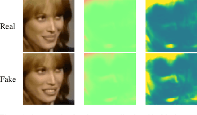 Figure 1 for Deepfake detection by exploiting surface anomalies: the SurFake approach