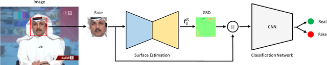 Figure 3 for Deepfake detection by exploiting surface anomalies: the SurFake approach