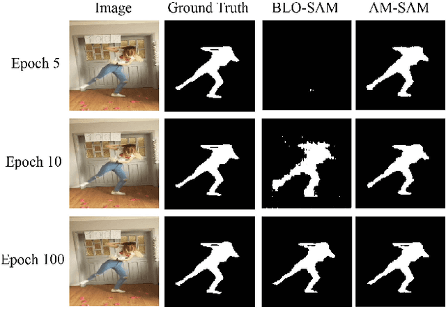 Figure 1 for AM-SAM: Automated Prompting and Mask Calibration for Segment Anything Model