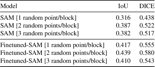 Figure 4 for Segmentation of Maya hieroglyphs through fine-tuned foundation models