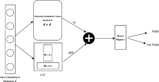 Figure 2 for HateTinyLLM : Hate Speech Detection Using Tiny Large Language Models