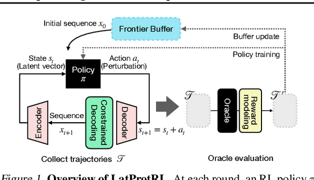 Figure 1 for Robust Optimization in Protein Fitness Landscapes Using Reinforcement Learning in Latent Space