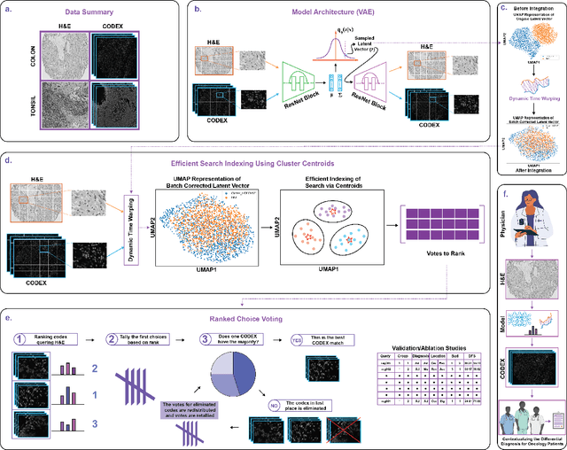 Figure 1 for Multimodal Pathology Image Search Between H&E Slides and Multiplexed Immunofluorescent Images