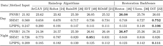 Figure 3 for Raindrop Clarity: A Dual-Focused Dataset for Day and Night Raindrop Removal