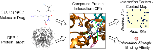 Figure 1 for PSC-CPI: Multi-Scale Protein Sequence-Structure Contrasting for Efficient and Generalizable Compound-Protein Interaction Prediction