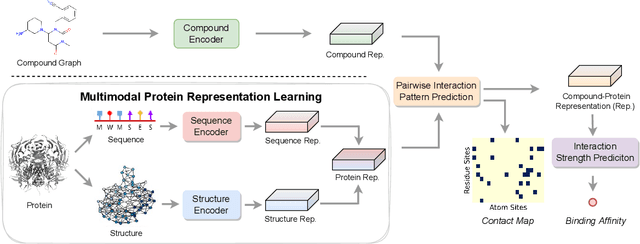 Figure 3 for PSC-CPI: Multi-Scale Protein Sequence-Structure Contrasting for Efficient and Generalizable Compound-Protein Interaction Prediction