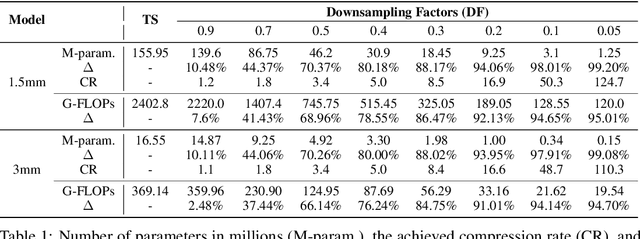 Figure 2 for Post-Training Network Compression for 3D Medical Image Segmentation: Reducing Computational Efforts via Tucker Decomposition