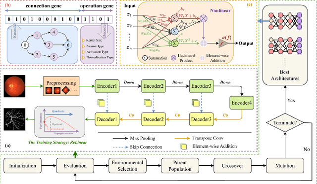 Figure 2 for Retinal Vessel Segmentation via Neuron Programming