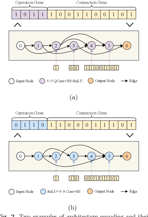 Figure 4 for Retinal Vessel Segmentation via Neuron Programming