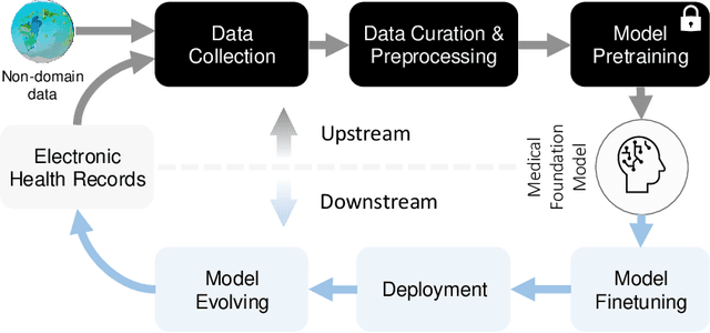 Figure 1 for Veridical Data Science for Medical Foundation Models