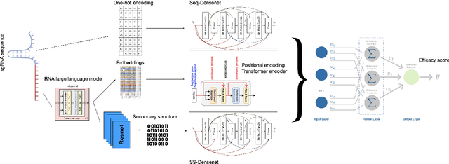 Figure 1 for DeepFM-Crispr: Prediction of CRISPR On-Target Effects via Deep Learning