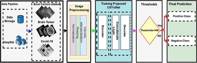 Figure 1 for Advancing Healthcare: Innovative ML Approaches for Improved Medical Imaging in Data-Constrained Environments