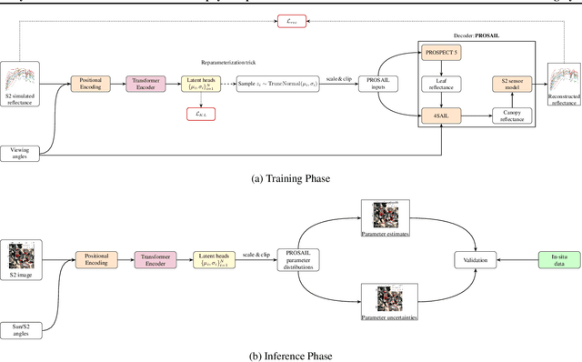 Figure 1 for Physics informed Transformer-VAE for biophysical parameter estimation: PROSAIL model inversion in Sentinel-2 imagery