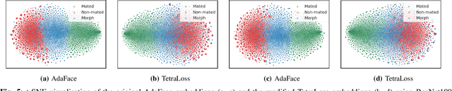 Figure 4 for TetraLoss: Improving the Robustness of Face Recognition against Morphing Attacks