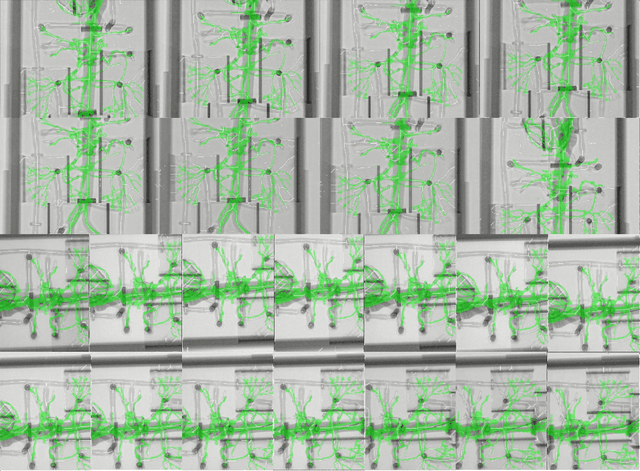 Figure 3 for DynaWeightPnP: Toward global real-time 3D-2D solver in PnP without correspondences