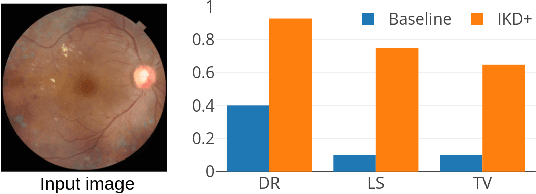 Figure 4 for IKD+: Reliable Low Complexity Deep Models For Retinopathy Classification