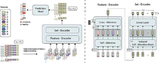 Figure 1 for FATE: Feature-Agnostic Transformer-based Encoder for learning generalized embedding spaces in flow cytometry data