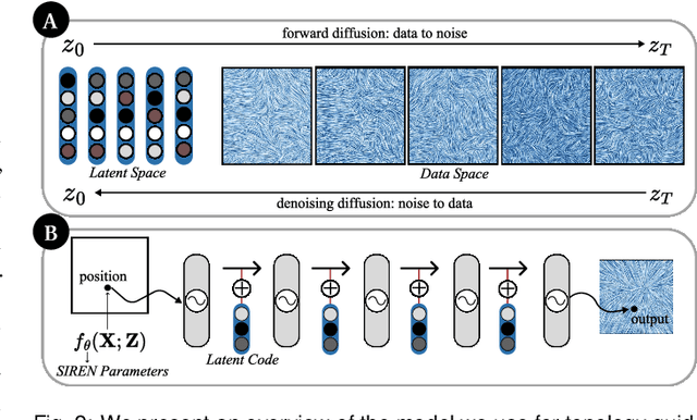 Figure 2 for Topology Guidance: Controlling the Outputs of Generative Models via Vector Field Topology