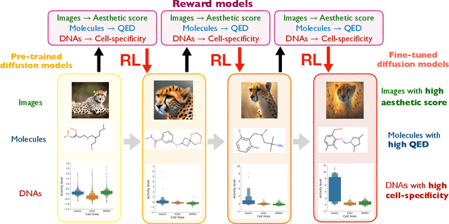 Figure 1 for Understanding Reinforcement Learning-Based Fine-Tuning of Diffusion Models: A Tutorial and Review