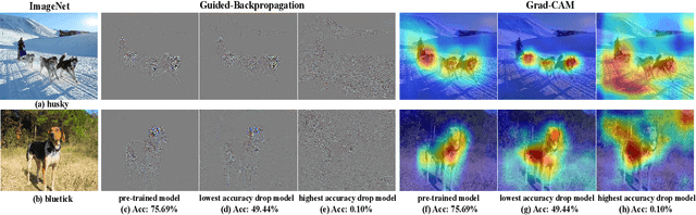 Figure 2 for SR-init: An interpretable layer pruning method