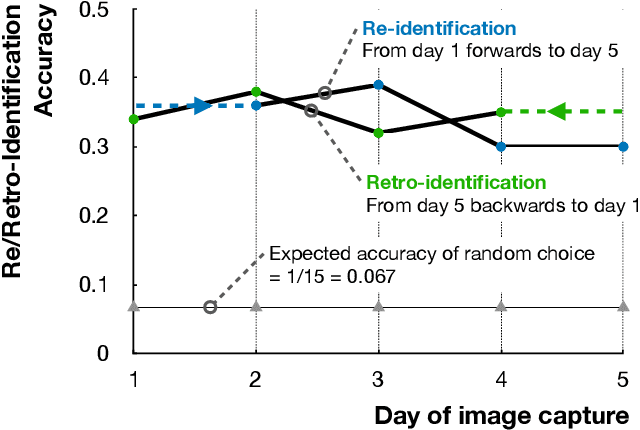 Figure 3 for Markerless retro-identification complements re-identification of individual insect subjects in archived image data of biological experiments