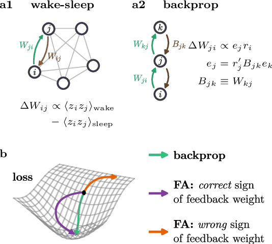 Figure 1 for Weight transport through spike timing for robust local gradients