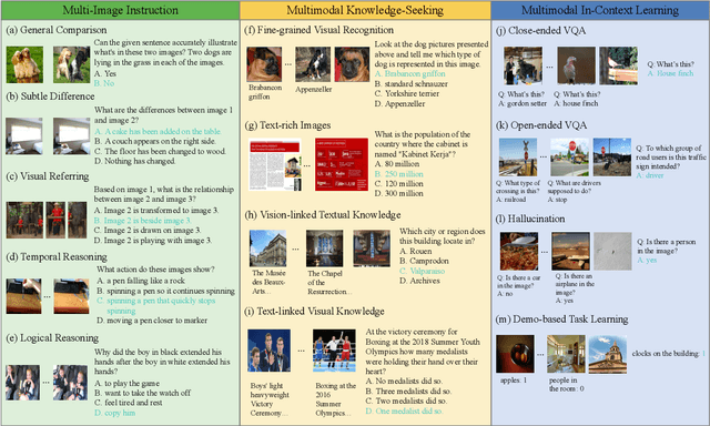 Figure 3 for MIBench: Evaluating Multimodal Large Language Models over Multiple Images