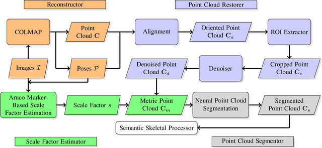Figure 3 for CherryPicker: Semantic Skeletonization and Topological Reconstruction of Cherry Trees