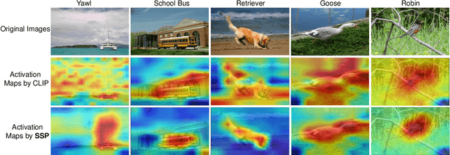 Figure 3 for Selective Vision-Language Subspace Projection for Few-shot CLIP