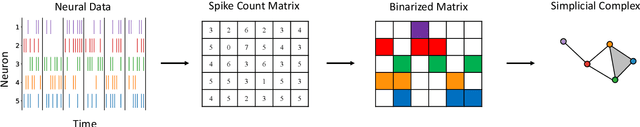 Figure 3 for A Topological Deep Learning Framework for Neural Spike Decoding