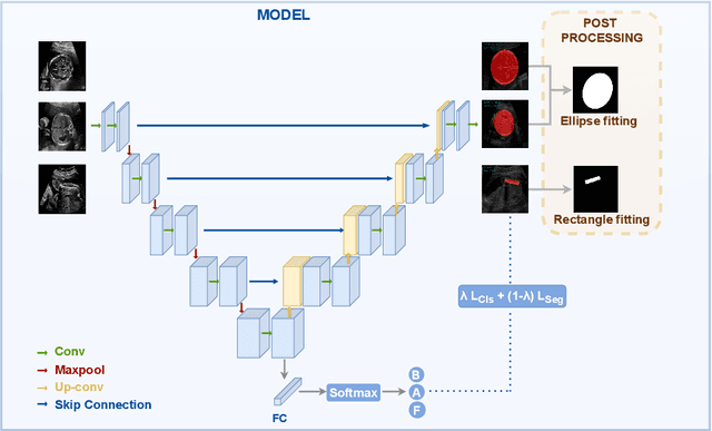 Figure 1 for Multi-Task Learning Approach for Unified Biometric Estimation from Fetal Ultrasound Anomaly Scans