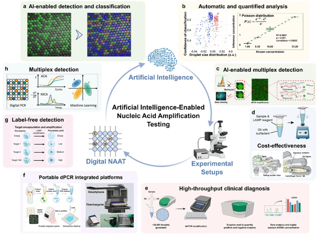 Figure 1 for Artificial Intelligence Enhanced Digital Nucleic Acid Amplification Testing for Precision Medicine and Molecular Diagnostics