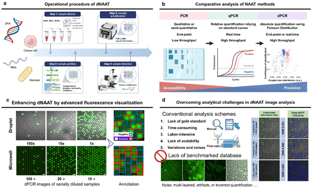 Figure 3 for Artificial Intelligence Enhanced Digital Nucleic Acid Amplification Testing for Precision Medicine and Molecular Diagnostics