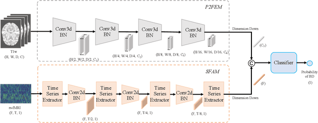 Figure 1 for A Bi-Pyramid Multimodal Fusion Method for the Diagnosis of Bipolar Disorders