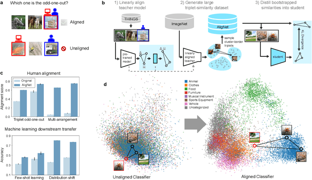 Figure 1 for Aligning Machine and Human Visual Representations across Abstraction Levels