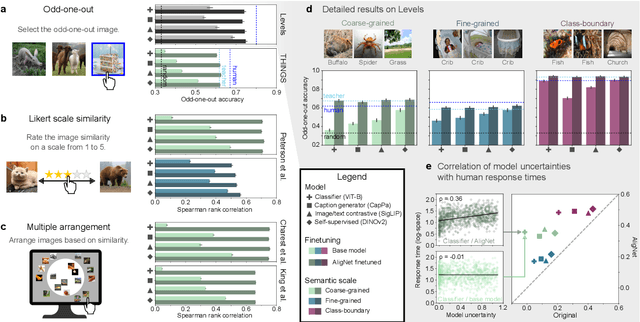 Figure 3 for Aligning Machine and Human Visual Representations across Abstraction Levels