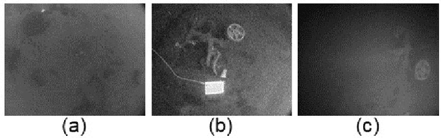 Figure 4 for Dehazing-aided Multi-Rate Multi-Modal Pose Estimation Framework for Mitigating Visual Disturbances in Extreme Underwater Domain