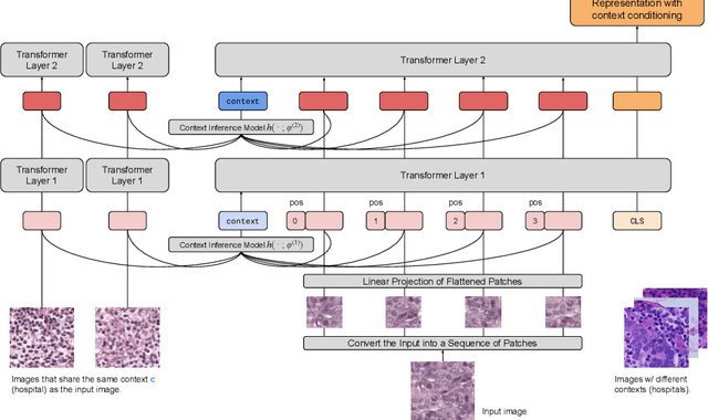 Figure 1 for Contextual Vision Transformers for Robust Representation Learning