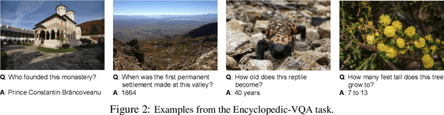 Figure 3 for How (not) to ensemble LVLMs for VQA