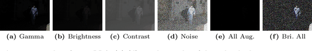 Figure 4 for Domain-Adaptive 2D Human Pose Estimation via Dual Teachers in Extremely Low-Light Conditions