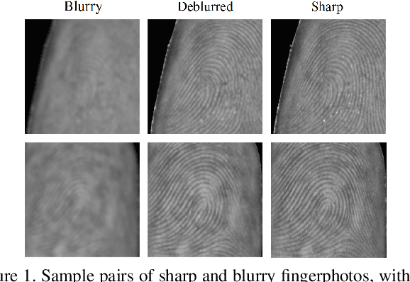 Figure 1 for FDWST: Fingerphoto Deblurring using Wavelet Style Transfer