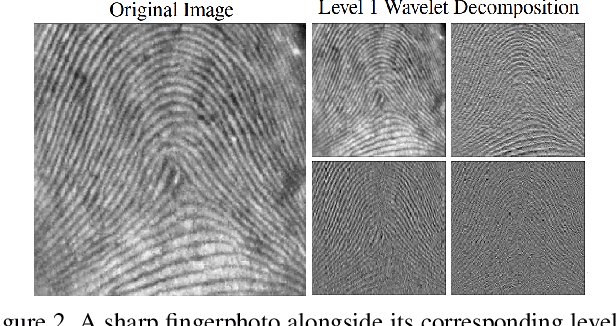 Figure 3 for FDWST: Fingerphoto Deblurring using Wavelet Style Transfer