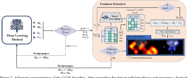 Figure 3 for Gradient Guided Hypotheses: A unified solution to enable machine learning models on scarce and noisy data regimes