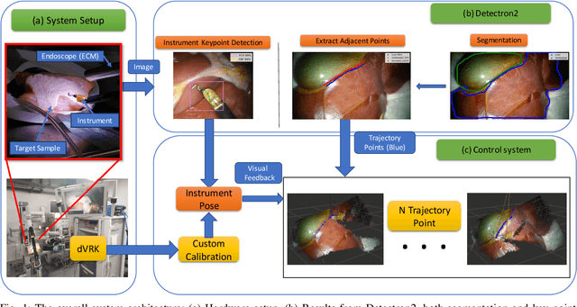 Figure 1 for A Framework For Automated Dissection Along Tissue Boundary